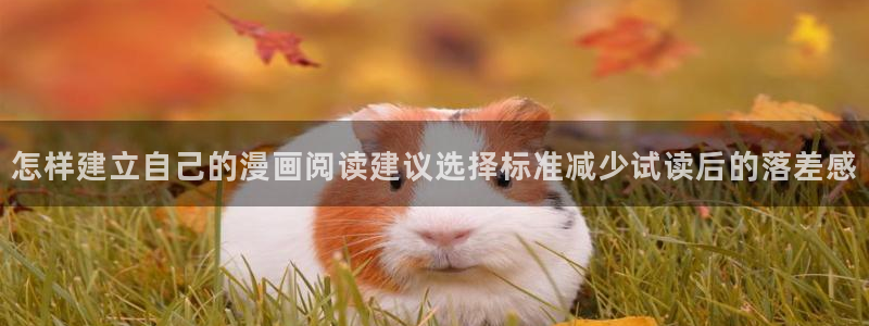 梦漫漫画软件使用：怎样建立自己的漫画阅读建议选择标准减少试读后的落差感