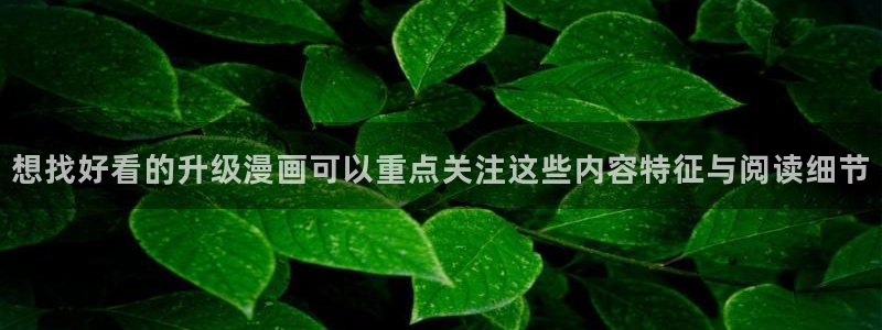 梦漫漫画韩漫推荐：想找好看的升级漫画可以重点关注这些内容特征与阅读细节