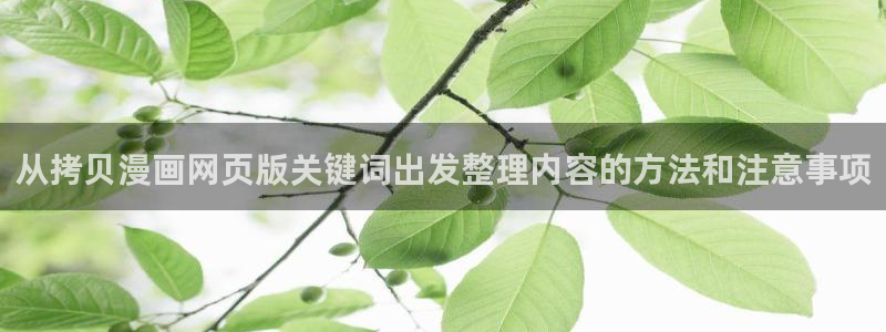 梦漫漫画每日漫画更新：从拷贝漫画网页版关键词出发整理内容的方法和注意事项